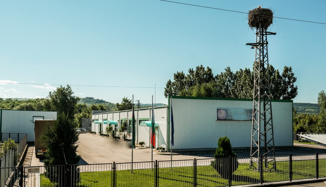 капачки България